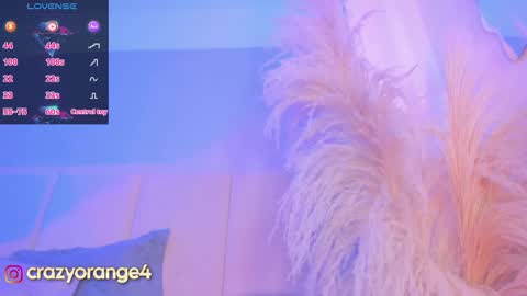 Snapshot of crazyorange4 chatting on 4, 3, 2025 You can ask online show from 4, 3, 2025