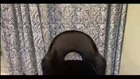 CreamOnMyCakes online show from 12, 9, 2025