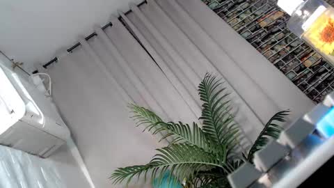 Snapshot of creamy_delilah chatting on 21, 9, 2025 Delilah online show from 21, 9, 2025