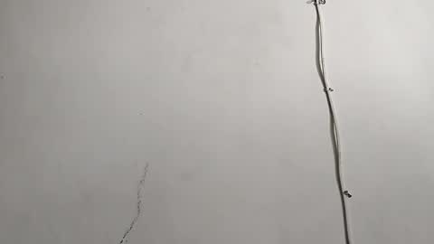 CreamyCocoBabe online show from 29, 4, 2026