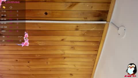 Cristal online show from 29, 9, 2025