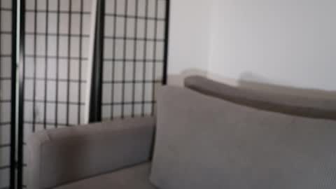 Laura online show from 17, 1, 2026