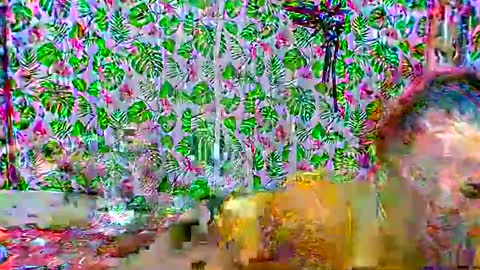 Snapshot of cristine316 chatting on 25, 2, 2025 cristine316 online show from 25, 2, 2025