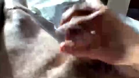 Snapshot of crushit chatting on 10, 1, 2026 Crushit online show from 10, 1, 2026