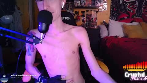 Snapshot of cryptidtwink chatting on 11, 3, 2026 CryptidTwink online show from 11, 3, 2026