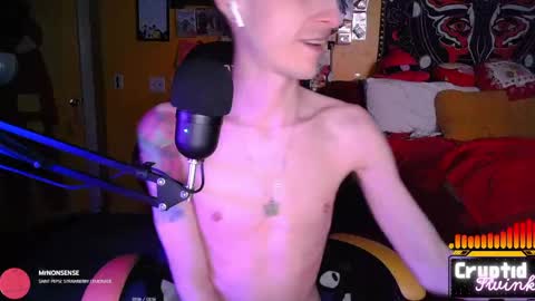 Snapshot of cryptidtwink chatting on 3, 4, 2026 CryptidTwink online show from 3, 4, 2026