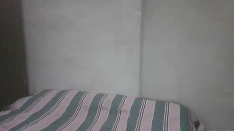 Noha online show from 17, 3, 2026