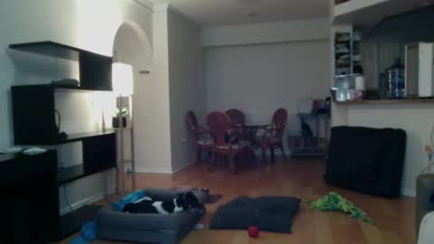 cumfiesta1 online show from 2, 2, 2025