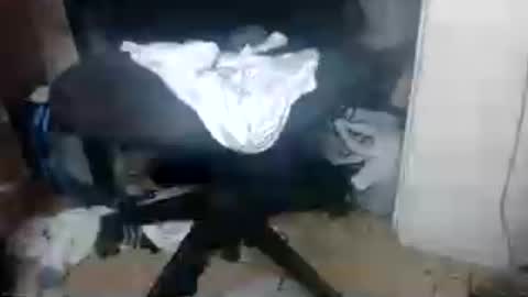 XXXBIGBLACKDICCK online show from 14, 6, 2026