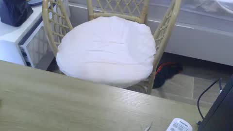 cumtowa online show from 7, 10, 2025