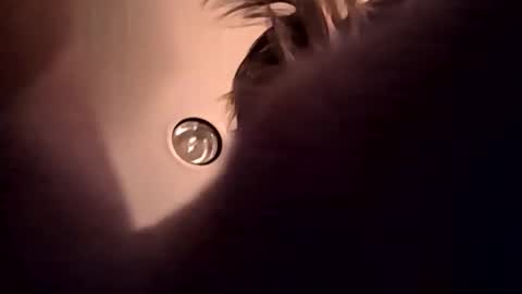 cumupxxx online show from 17, 11, 2025