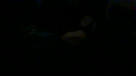 cunnibob online show from 10, 2, 2025