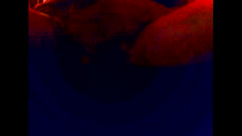 Snapshot of cuntgulper1286 chatting on 6, 12, 2024 cuntgulper1286 online show from 6, 12, 2024