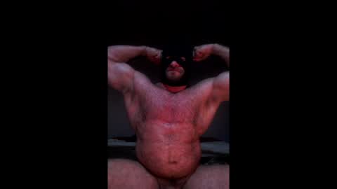 Snapshot of curiousmuscleboy chatting on 16, 1, 2025 CuriousMuscleBoy online show from 16, 1, 2025