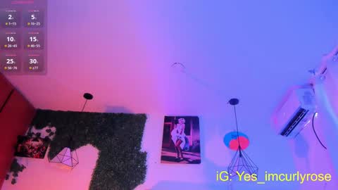 Rose online show from 9, 9, 2025