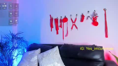 Rose online show from 24, 11, 2025