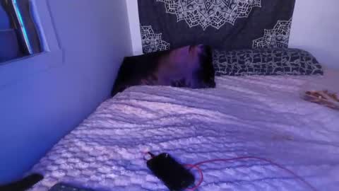 Snapshot of curvybcelinemixe chatting on 2, 3, 2025 Cline online show from 2, 3, 2025