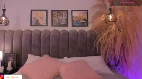 Amber  online show from 4, 5, 2026