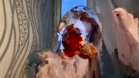 cute_foxis online show from 2, 7, 2026