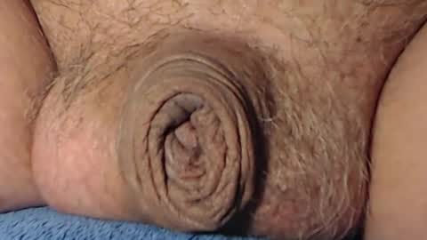 cute_stud1010 online show from 8, 2, 2026