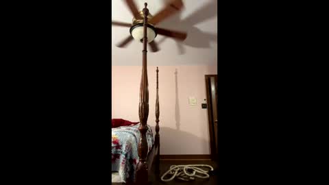 cuteboii29 online show from 14, 3, 2026