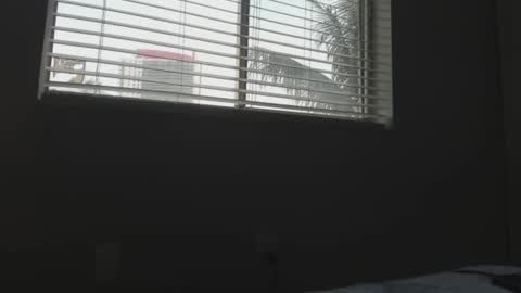 Snapshot of cuteeboy chatting on 30, 12, 2024 cuteeboy online show from 30, 12, 2024