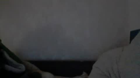 Snapshot of cutekattie chatting on 9, 12, 2024 cutekattie online show from 9, 12, 2024