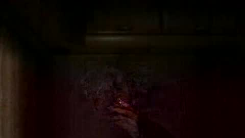 cutetoyguyg online show from 23, 2, 2026