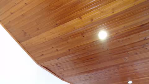 LIZETH online show from 8, 3, 2025