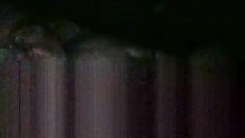 cwill27837 online show from 22, 2, 2026