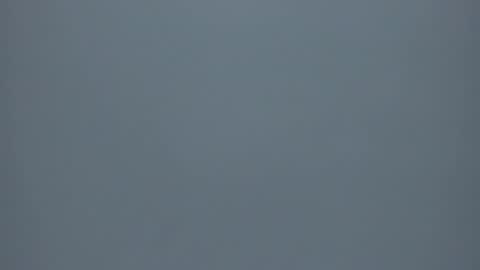 Cynthia  online show from 15, 12, 2025