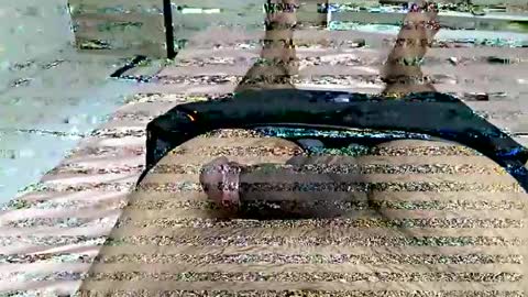 d130213 online show from 3, 10, 2025