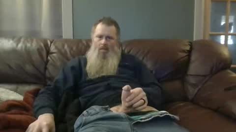 dachshund01 online show from 22, 11, 2025