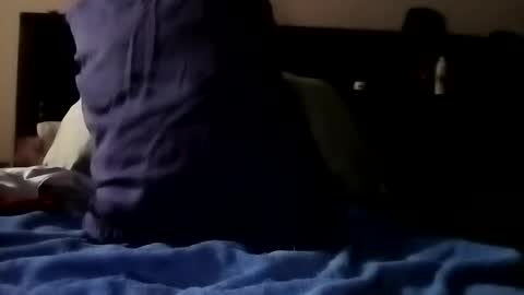 Kasey Xdresser online show from 15, 2, 2026