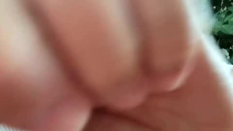 Snapshot of daddydick926 chatting on 11, 9, 2025 daddydick926 online show from 11, 9, 2025