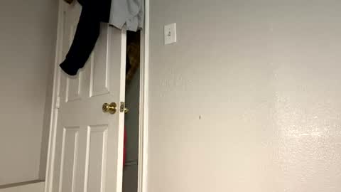 Snapshot of daddyplumber chatting on 10, 1, 2025 daddyplumber online show from 10, 1, 2025
