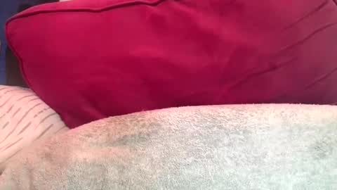 Snapshot of daddyy008 chatting on 10, 9, 2025 daddyy008 online show from 10, 9, 2025