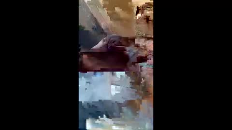dadsfreedickrides online show from 4, 6, 2026