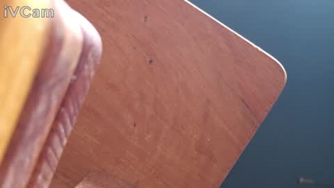 Daisy Banx online show from 27, 12, 2024