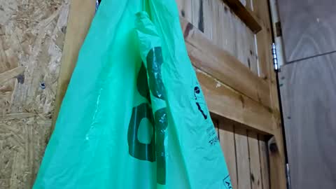 Snapshot of daiwants2fku chatting on 15, 12, 2024 dave online show from 15, 12, 2024