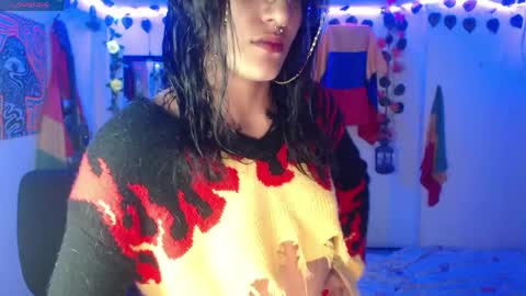 Dakko online show from 28, 4, 2026