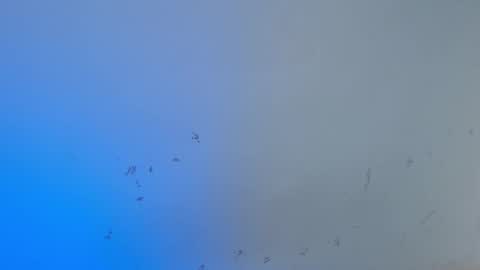 VALENTINA  online show from 15, 10, 2025