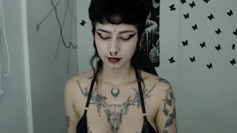 dakota online show from 15, 2, 2025