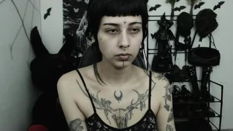 Snapshot of dakota_krall_ chatting on 4, 5, 2026 dakota online show from 4, 5, 2026