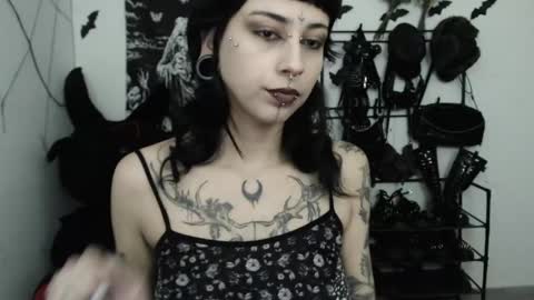 Snapshot of dakota_krall_ chatting on 15, 5, 2026 dakota online show from 15, 5, 2026