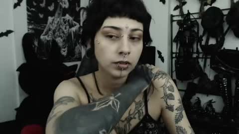 Snapshot of dakota_krall_ chatting on 20, 6, 2026 dakota online show from 20, 6, 2026