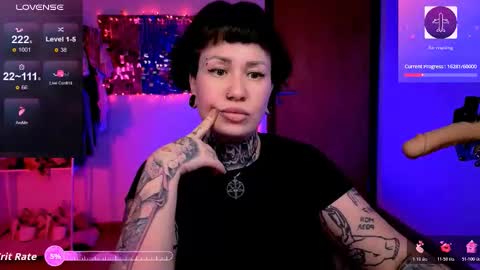 Dakota online show from 27, 2, 2026