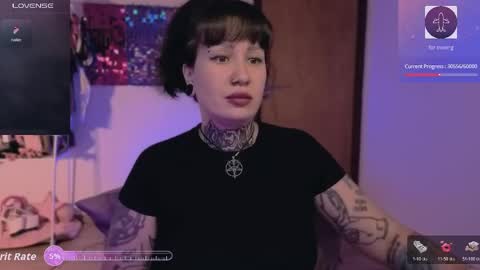 Dakota online show from 24, 5, 2026