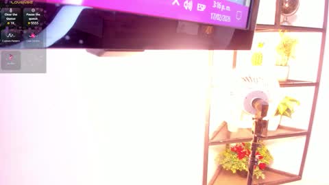 Sammy online show from 17, 2, 2026