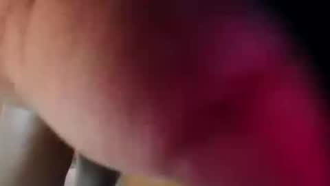 Snapshot of dakotaholand chatting on 5, 12, 2025 dakotaholand online show from 5, 12, 2025